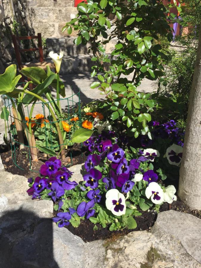 La Cle Des Songes Bed & Breakfast Claviers Dış mekan fotoğraf